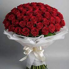 Букет 101 Красная роза Блэк Мэджик в Селково