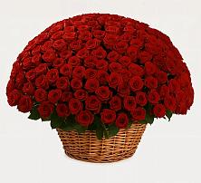 Премиум букет из: Розы в Селково